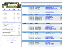 Tablet Screenshot of pitchandputthandicap.com